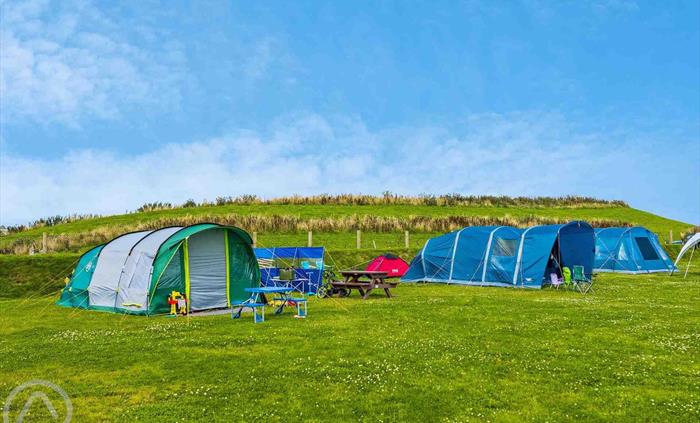 Electric Camping